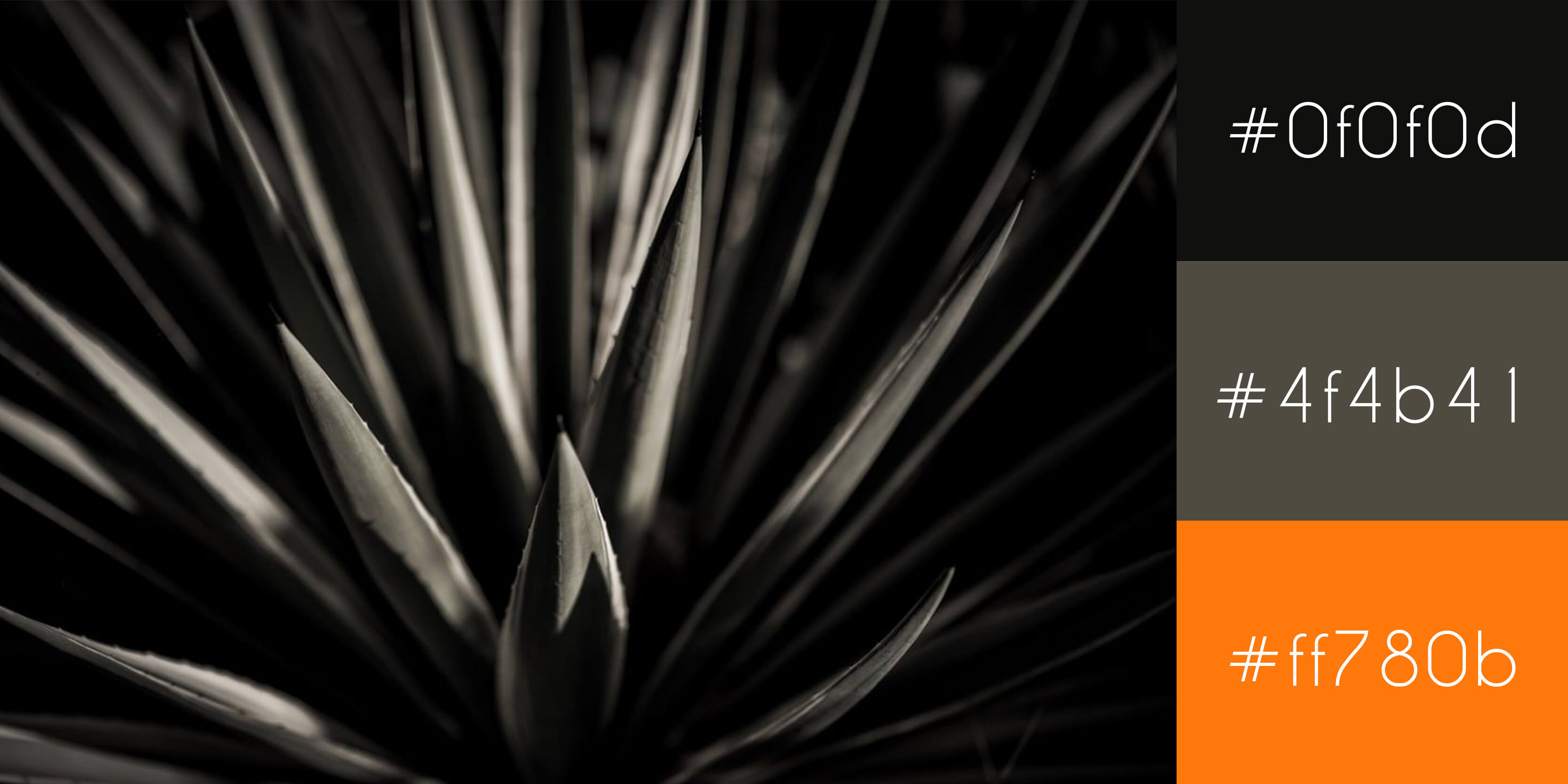 Dark plant with hex values - How to create a perfect modern color scheme for your website - Image