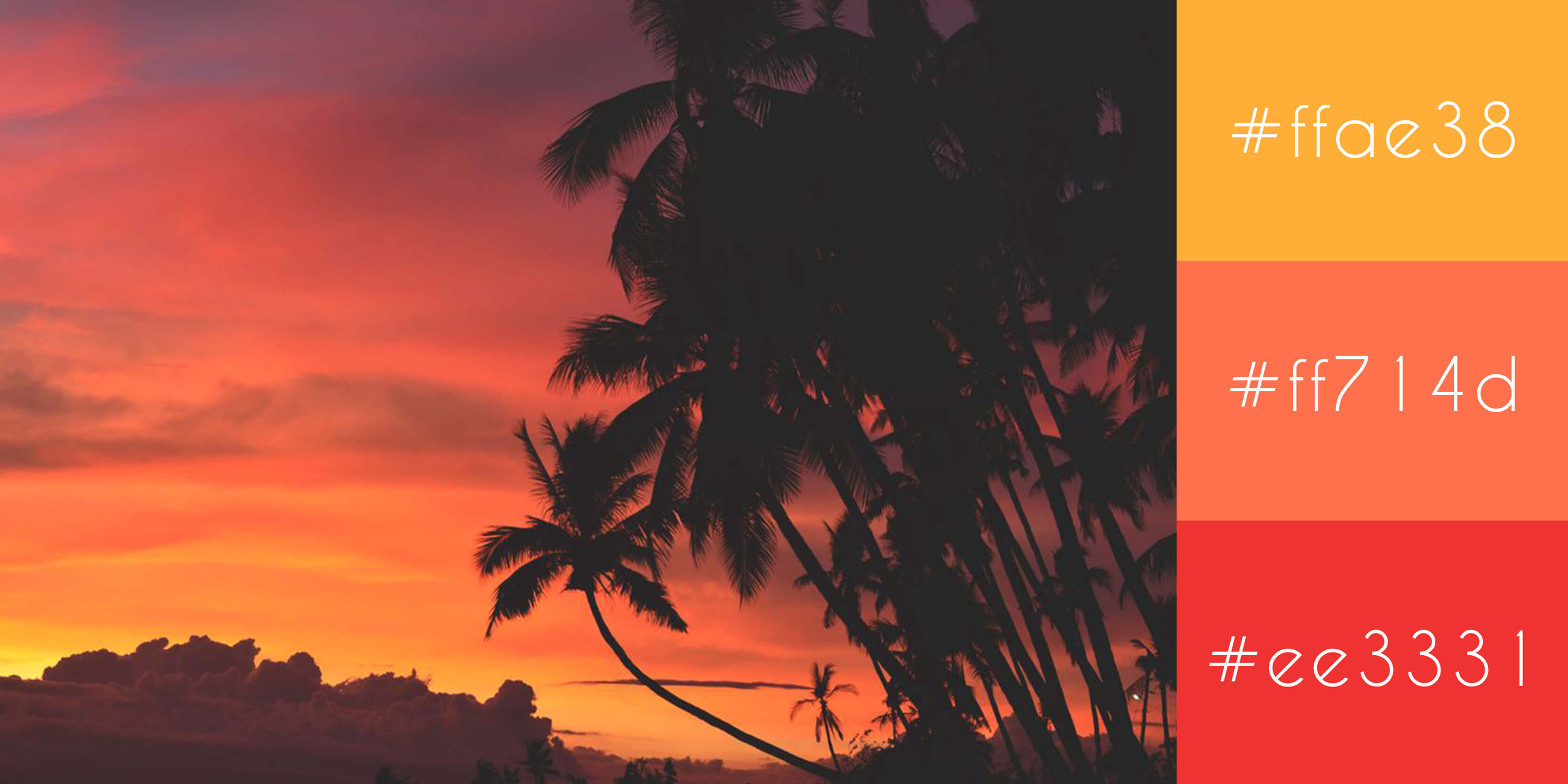 Red and Orange sunset with palm trees with hex values - How to create a perfect modern color scheme for your website - Image